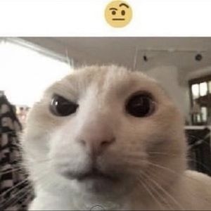 Meet your Posher, Aidan